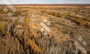 En Venta, Chacra de 7 Hectáreas, en Plottier, Neuquén