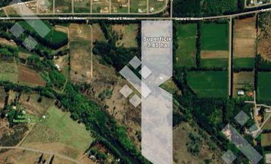 En Venta, Chacra de 7 Hectáreas, en Plottier, Neuquén