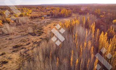 En Venta, Chacra de 7 Hectáreas, en Plottier, Neuquén