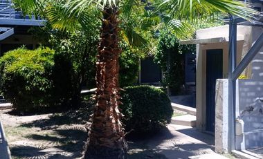 Departamento Planta Baja alquiler en complejo Cercano a Puente Olive