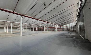 Alquiler - Depósito - 5000 m2