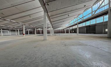 Alquiler - Depósito - 5000 m2