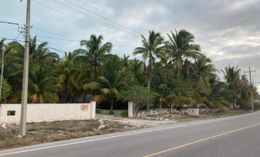 CASA  EN RENTA EN TELCHAC PUERTO