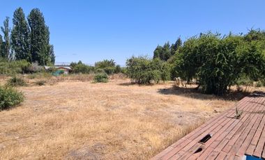 Venta Parcela en Pumanque