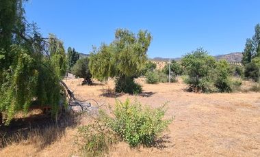 Venta Parcela en Pumanque
