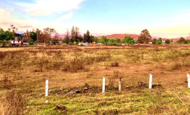Terreno en RENTA en Autopista-Pátzcuaro, Michoacán