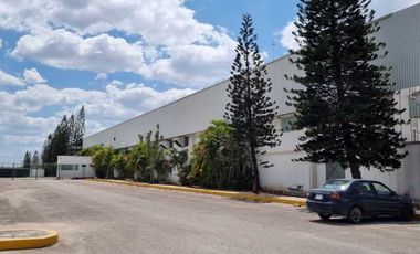 Nave Industrial de 11,816 m2 en renta en Periférico Norte