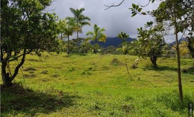 Finca en Venta , en la vía La Vega Sasaima Precio de oportunidad