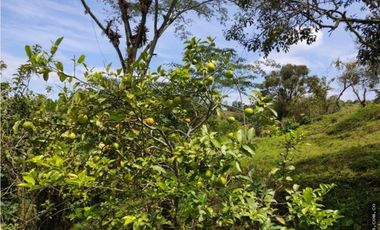 Finca en Venta , en la vía La Vega Sasaima Precio de oportunidad