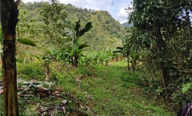 Finca en Venta , en la vía La Vega Sasaima Precio de oportunidad