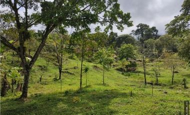 Finca en Venta , en la vía La Vega Sasaima Precio de oportunidad