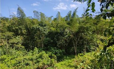 Finca en Venta , en la vía La Vega Sasaima Precio de oportunidad