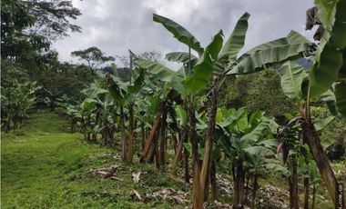 Finca en Venta , en la vía La Vega Sasaima Precio de oportunidad