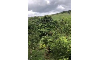 CASA CAMPESTRE EN VENTA PAVAS VALLE DEL CAUCA