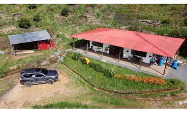 Finca productiva con cultivo de aguacate, Vereda Las Lomas La Ceja