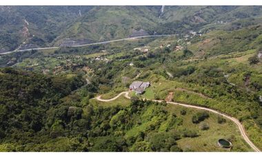 Finca Vereda Bella Fátima, Cisneros