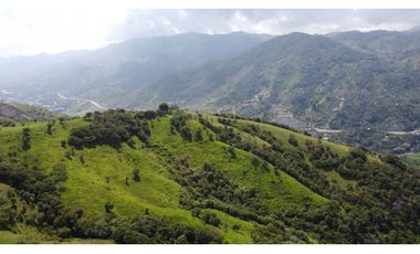 Finca Vereda Bella Fátima, Cisneros