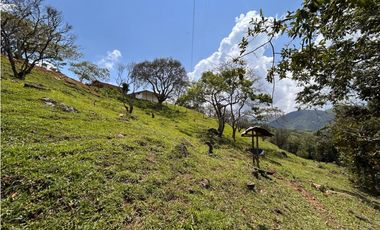Finca Vereda Bella Fátima, Cisneros