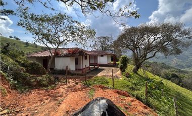 Finca Vereda Bella Fátima, Cisneros