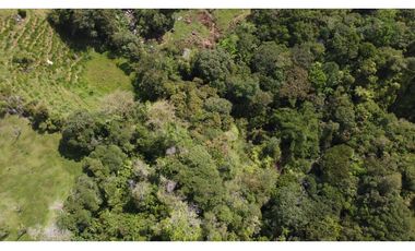 Finca Vereda Bella Fátima, Cisneros