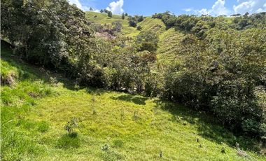 Finca Vereda Bella Fátima, Cisneros