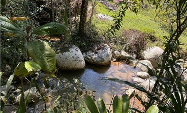 Finca Vereda Bella Fátima, Cisneros