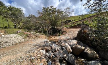 Finca Vereda Bella Fátima, Cisneros