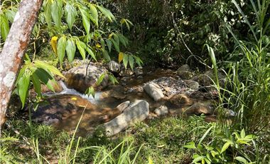 Finca Vereda Bella Fátima, Cisneros