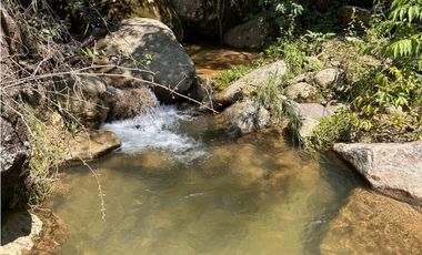 Finca Vereda Bella Fátima, Cisneros