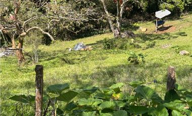 Finca Vereda Bella Fátima, Cisneros