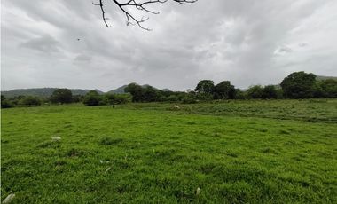 Finca en venta de 35 Has en Panamá Oeste (DR)