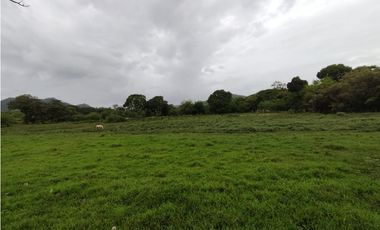 Finca en venta de 35 Has en Panamá Oeste (DR)