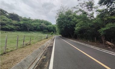 Finca en venta de 35 Has en Panamá Oeste (DR)