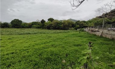 Finca en venta de 35 Has en Panamá Oeste (DR)