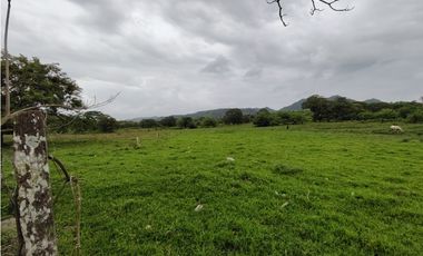 Finca en venta de 35 Has en Panamá Oeste (DR)