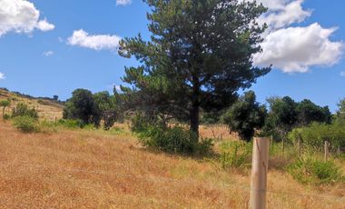 Parcelas con Agua Luz y Cercadas