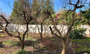 EN VENTA PROPIEDAD UBICADA A PASOS DEL CENTRO DE COLTAUCO