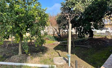 EN VENTA PROPIEDAD UBICADA A PASOS DEL CENTRO DE COLTAUCO