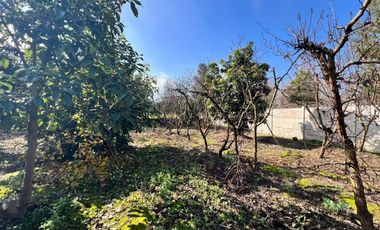 EN VENTA PROPIEDAD UBICADA A PASOS DEL CENTRO DE COLTAUCO