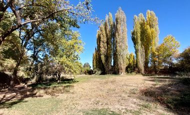 VENTA LOTE CON VIÑEDO MENDOZA  LUJAN DE CUYO PERD