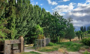 VENTA LOTE CON VIÑEDO MENDOZA  LUJAN DE CUYO PERD