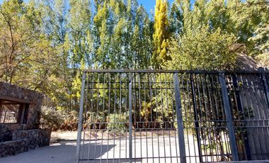 VENTA LOTE CON VIÑEDO MENDOZA  LUJAN DE CUYO PERD
