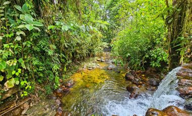 En Venta Finca de 138 hectáreas, Vía Los Bancos Valle hermoso km 14