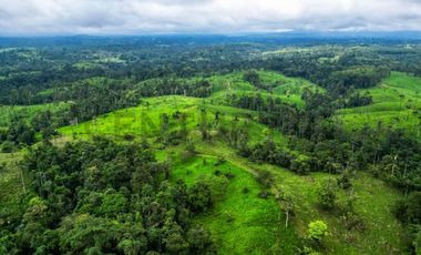 En Venta Finca de 138 hectáreas, Vía Los Bancos Valle hermoso km 14