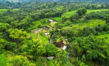 En Venta Finca de 138 hectáreas, Vía Los Bancos Valle hermoso km 14