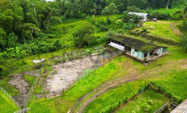 En Venta Finca de 138 hectáreas, Vía Los Bancos Valle hermoso km 14