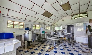 En Venta Finca de 138 hectáreas, Vía Los Bancos Valle hermoso km 14