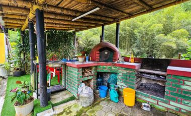 En Venta Finca de 138 hectáreas, Vía Los Bancos Valle hermoso km 14