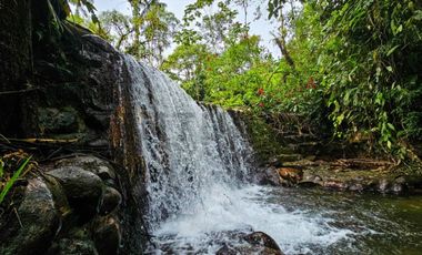 En Venta Finca de 138 hectáreas, Vía Los Bancos Valle hermoso km 14