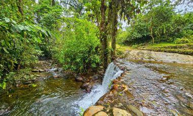 En Venta Finca de 138 hectáreas, Vía Los Bancos Valle hermoso km 14